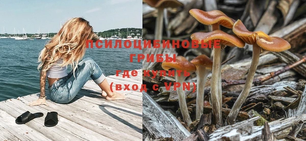 гашишное масло Белокуриха