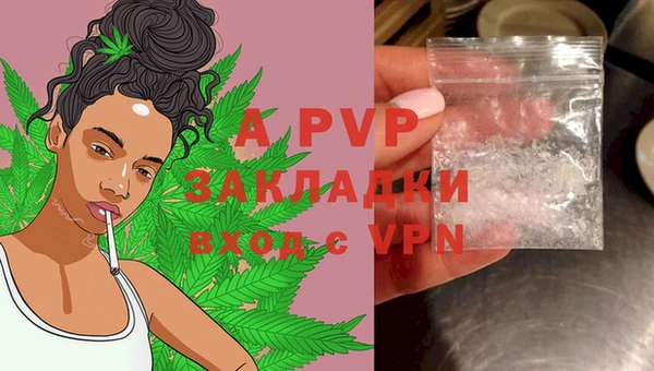 гашик Осташков