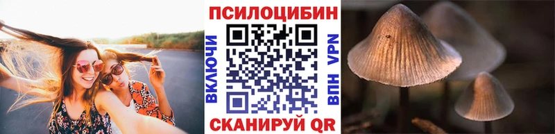наркота  кракен зеркало  Галлюциногенные грибы Magic Shrooms  Щигры 